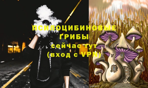 крисы Балабаново