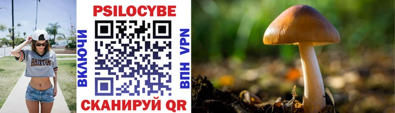 где купить наркотик  Северобайкальск  Галлюциногенные грибы Psilocybe 